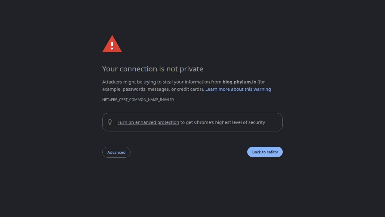 Thumbnail for Fake Developer Jobs Laced With Malware